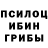 Псилоцибиновые грибы Psilocybine cubensis alexsandr Dubnjk