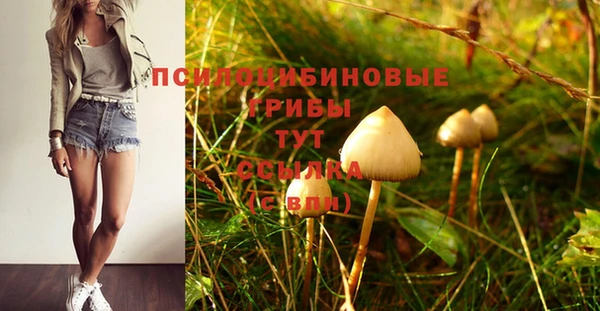 ешки Алзамай