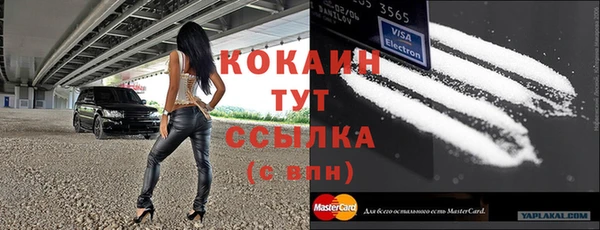 твердый Алексин